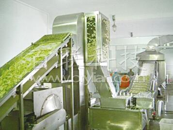 水果干專用帶式干燥機